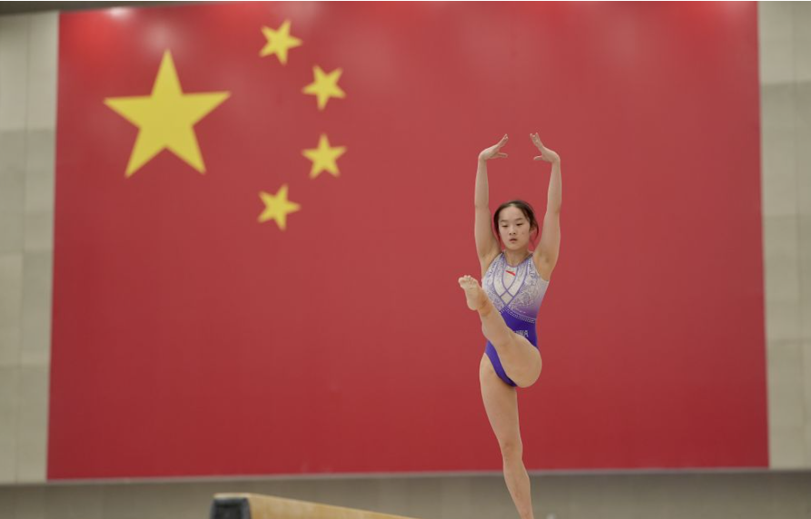 乐鱼app体育的全方位体验与攻略